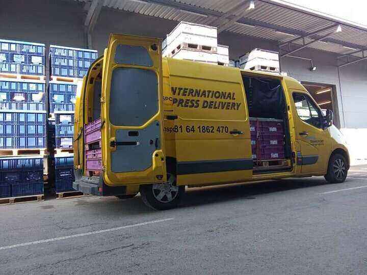 Natovaren Ulemek Transport žuti kombi